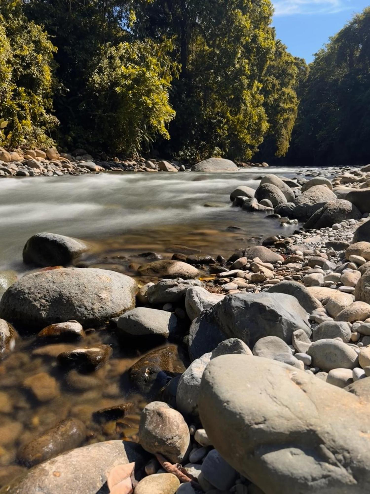 La Comarca River Glamping Dome Near Manuel Antonio Exterior foto